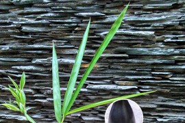 PS快速消除图片噪点的三大技巧(图文教程)