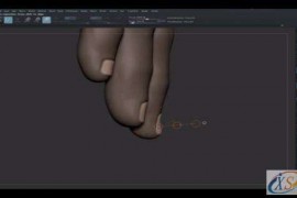 关于ZBrush手部雕刻这些细节你都了解吗？