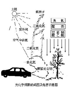 光化学效应(图文教程),光化学效应,要求,采用,结构,第4张